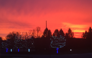 Holiday lights