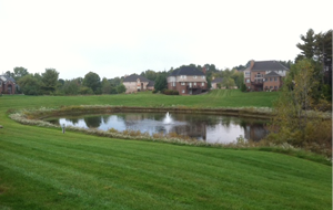 Ornamental Pond