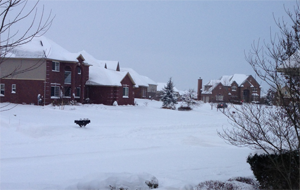Subdivision during winter