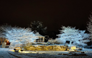 Holiday lights